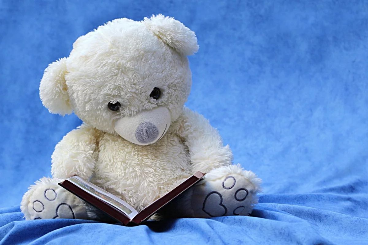 still life, teddy, white, read, a book, background blue, still life, still life, still life, teddy, teddy, teddy, teddy, teddy, a book, a book, a book, a book - how to detail a car interior like a pro