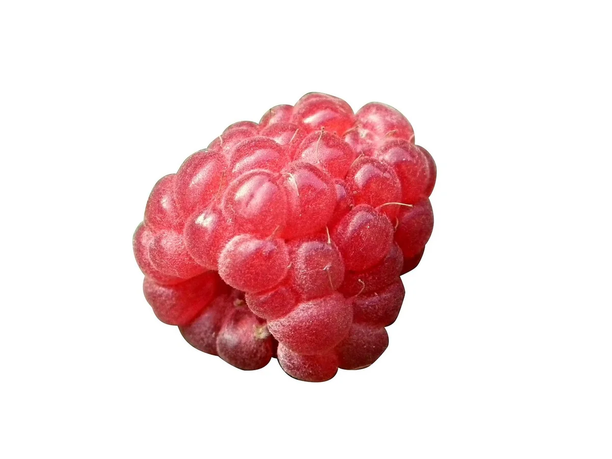 berry, raspberry, red, fruit, cutout, draft, on white, on a white background, raspberry, raspberry, raspberry, raspberry, raspberry - how to improve car handling on a budget